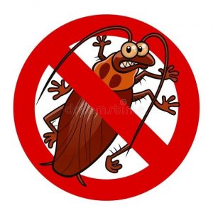 Cách phòng và diệt gián hiệu quả